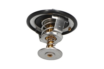 KAVO PARTS TH-5503 EAN: 8715616045124.