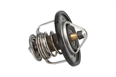 KAVO PARTS TH-6504 EAN: 8715616045391.