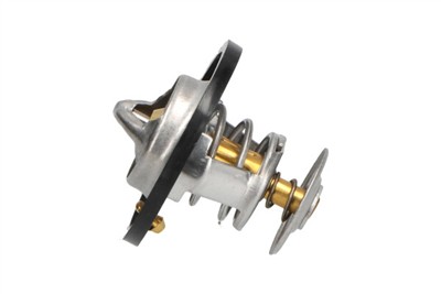 KAVO PARTS TH-9009 EAN: 8715616045360.