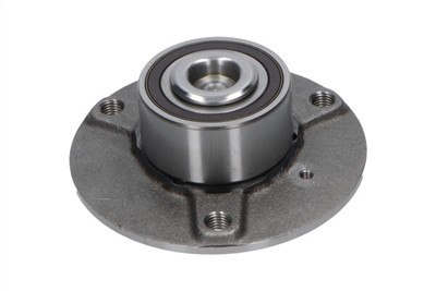 KAVO PARTS WBK-10036 EAN: 8715616352482.