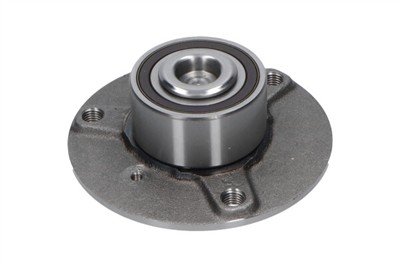 KAVO PARTS WBK-10036 EAN: 8715616352482.