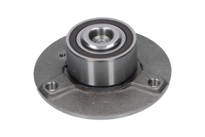 KAVO PARTS WBK-10036 EAN: 8715616352482.