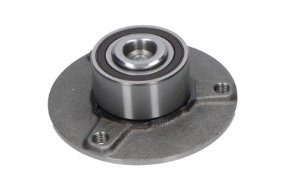 KAVO PARTS WBK-10036 EAN: 8715616352482.