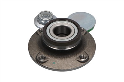 KAVO PARTS WBK-10043 EAN: 8715616352024.