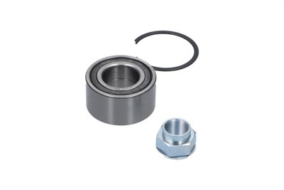 KAVO PARTS WBK-10066 EAN: 8715616369572.