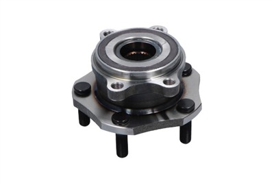 KAVO PARTS WBK-10081 EAN: 8715616373678.