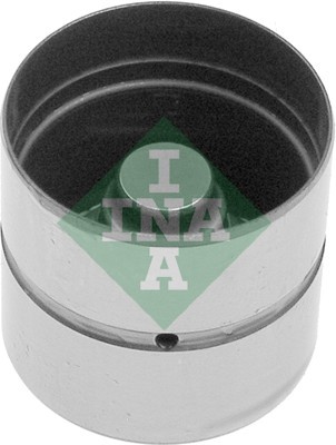 INA 420 0106 10 EAN: 4005108176974.