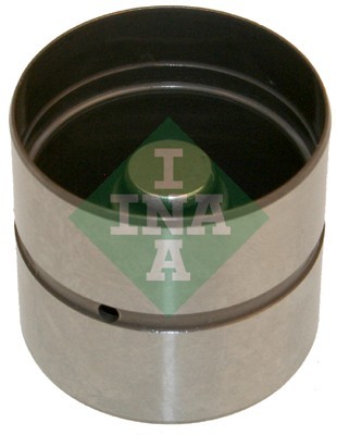 INA 420 0220 10 EAN: 4005108502926.