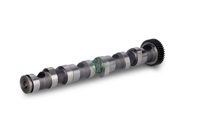 INA 428 0155 10 EAN: 4014870338565.