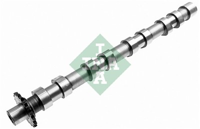 INA 428 0160 10 EAN: 4014870338619.