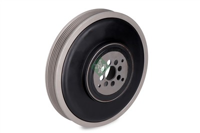 INA 544 0102 10 EAN: 4005108974716.