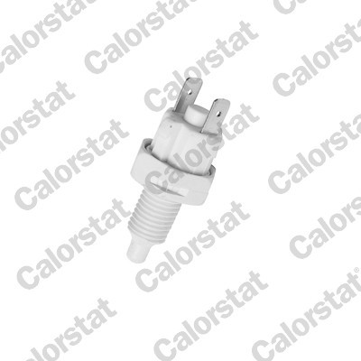 CALORSTAT by Vernet BS4521 EAN: 3531650014019.