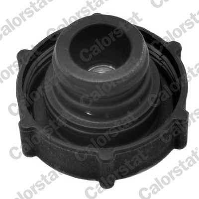 CALORSTAT by Vernet RC0009 EAN: 3531650022519.
