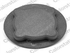 CALORSTAT by Vernet RC0033