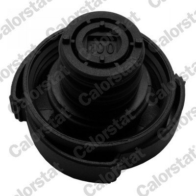 CALORSTAT by Vernet RC0158 EAN: 3531650034383.