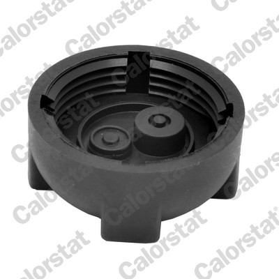 CALORSTAT by Vernet RC0172 EAN: 3531650035885.