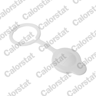 CALORSTAT by Vernet RC0206 EAN: 3531650042814.