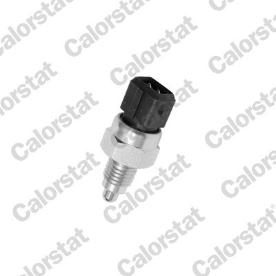 CALORSTAT by Vernet RS5538 EAN: 3531650014996.