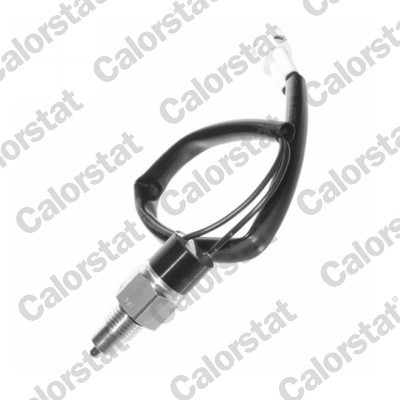 CALORSTAT by Vernet RS5555 EAN: 3531650015139.