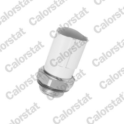 CALORSTAT by Vernet TS2671 EAN: 3531650012565.