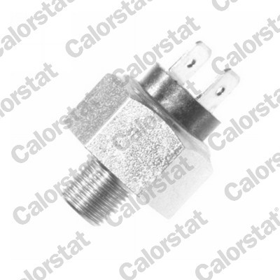 CALORSTAT by Vernet BS4515 EAN: 3531650013951.