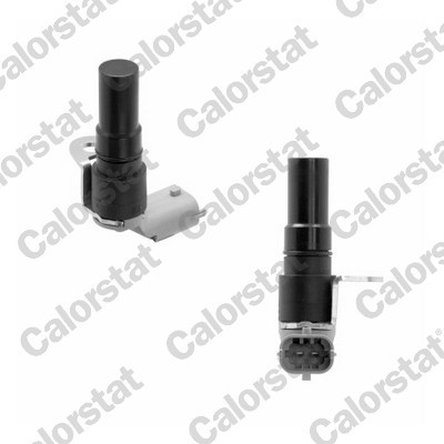 CALORSTAT by Vernet CS0348 EAN: 3531650039593.