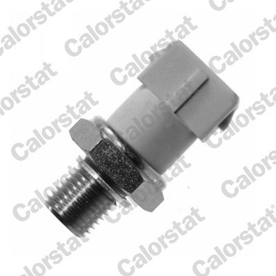 CALORSTAT by Vernet OS3554 EAN: 3531650013616.