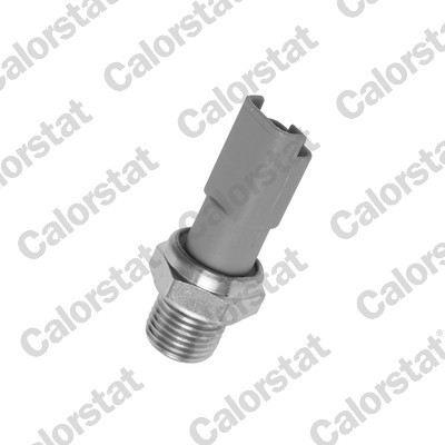 CALORSTAT by Vernet OS3566 EAN: 3531650013708.