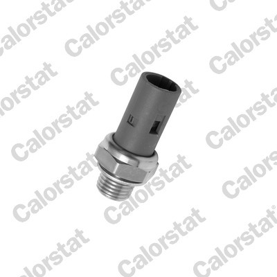 CALORSTAT by Vernet OS3567 EAN: 3531650013715.