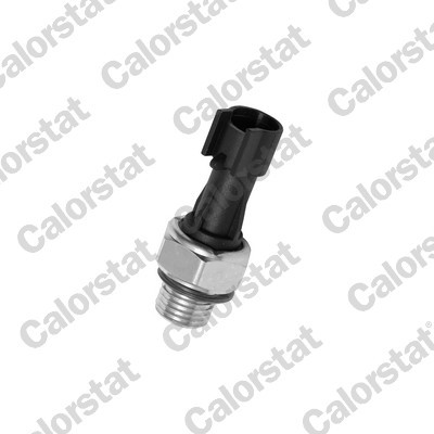 CALORSTAT by Vernet OS3574 EAN: 3531650013784.
