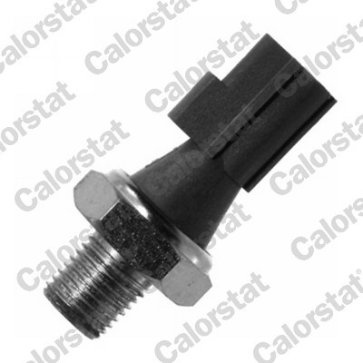 CALORSTAT by Vernet OS3584 EAN: 3531650021420.