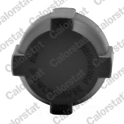 CALORSTAT by Vernet RC0001 EAN: 3531650022434.