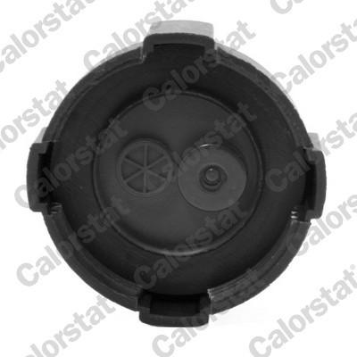 CALORSTAT by Vernet RC0001 EAN: 3531650022434.