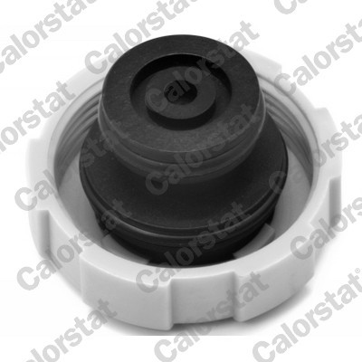 CALORSTAT by Vernet RC0008 EAN: 3531650022502.