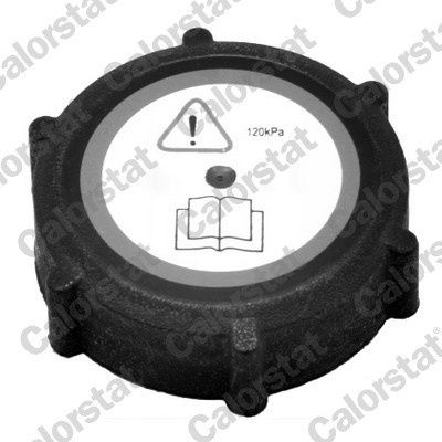 CALORSTAT by Vernet RC0009 EAN: 3531650022519.