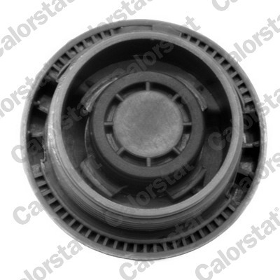 CALORSTAT by Vernet RC0028 EAN: 3531650022700.