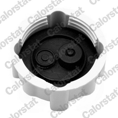CALORSTAT by Vernet RC0031 EAN: 3531650022731.