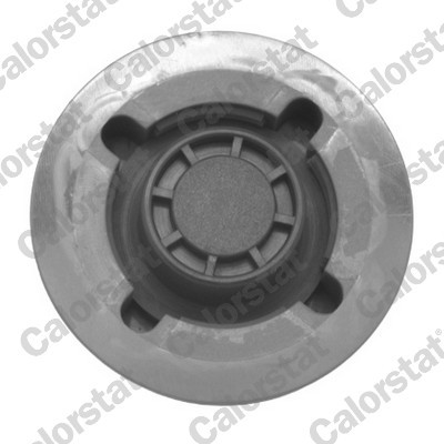 CALORSTAT by Vernet RC0033 EAN: 3531650022755.