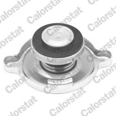 CALORSTAT by Vernet RC0049 EAN: 3531650022892.