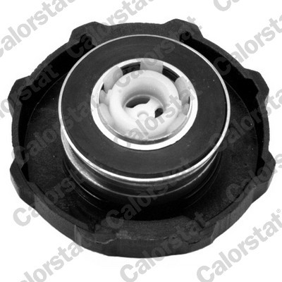 CALORSTAT by Vernet RC0077 EAN: 3531650023172.