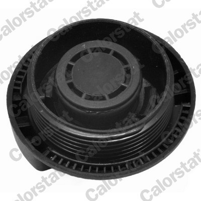 CALORSTAT by Vernet RC0082 EAN: 3531650027910.