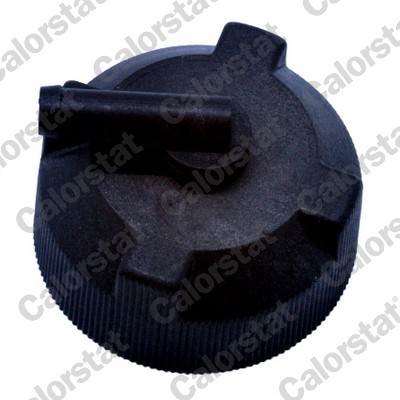 CALORSTAT by Vernet RC0085 EAN: 3531650027941.