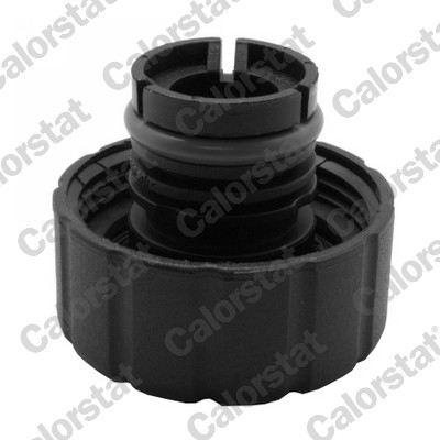 CALORSTAT by Vernet RC0148 EAN: 3531650034291.