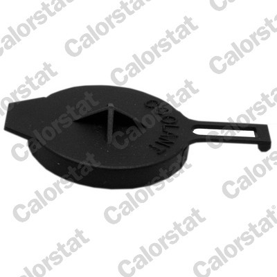 CALORSTAT by Vernet RC0165 EAN: 3531650042715.