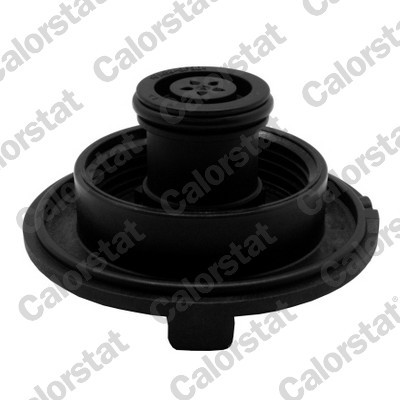 CALORSTAT by Vernet RC0167 EAN: 3531650035861.