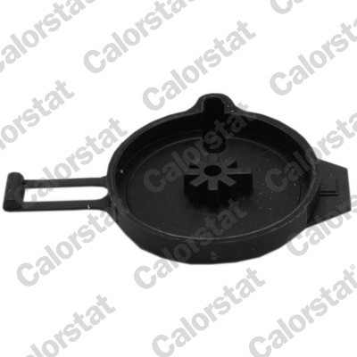 CALORSTAT by Vernet RC0170 EAN: 3531650042722.