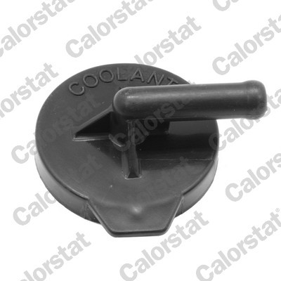 CALORSTAT by Vernet RC0178 EAN: 3531650041879.
