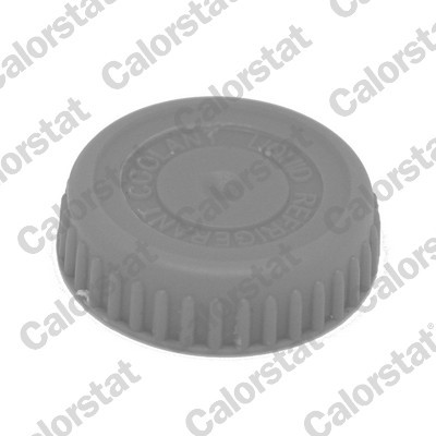 CALORSTAT by Vernet RC0185 EAN: 3531650035939.