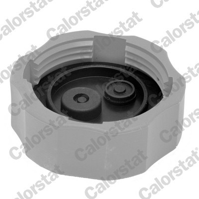 CALORSTAT by Vernet RC0190 EAN: 3531650035878.