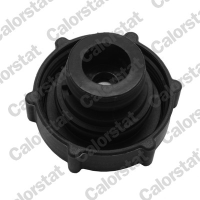 CALORSTAT by Vernet RC0194 EAN: 3531650042180.